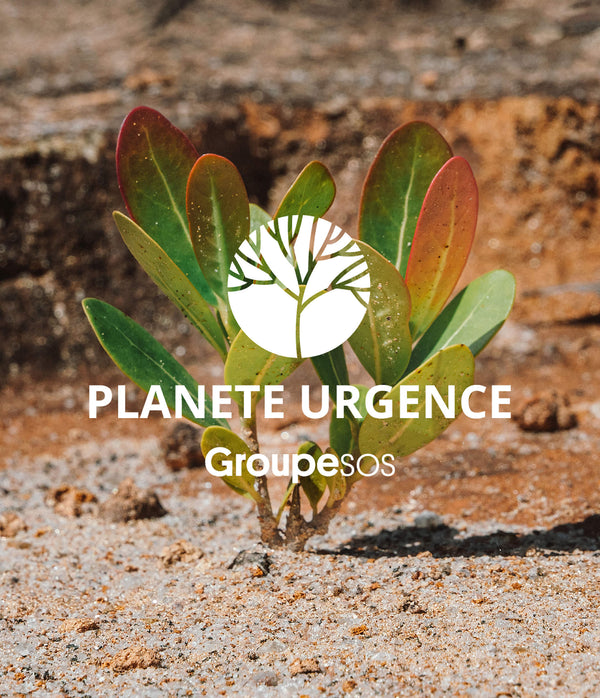 La Rosée x Planète Urgence