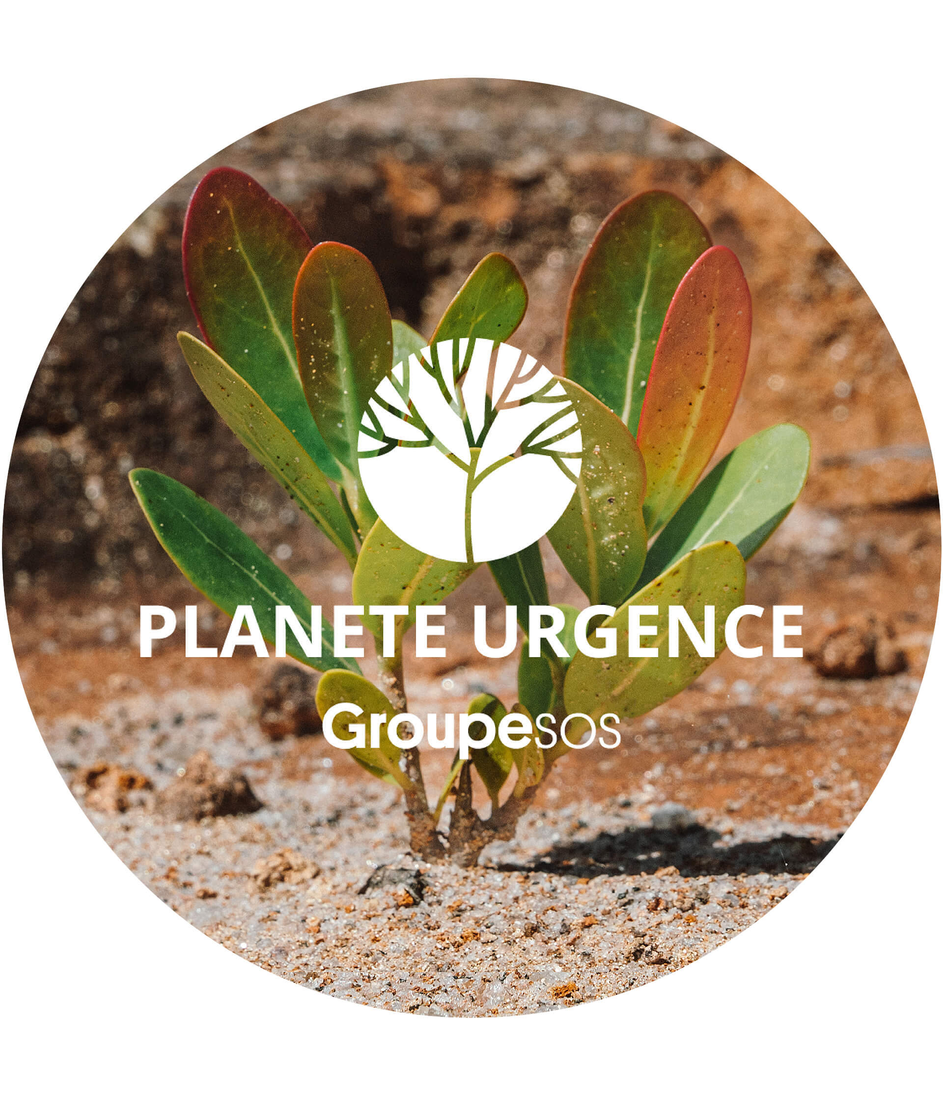 La Rosée x Planète Urgence